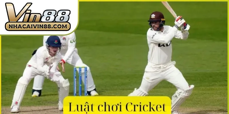 ca-cuoc-cricket-tai-vin88-01