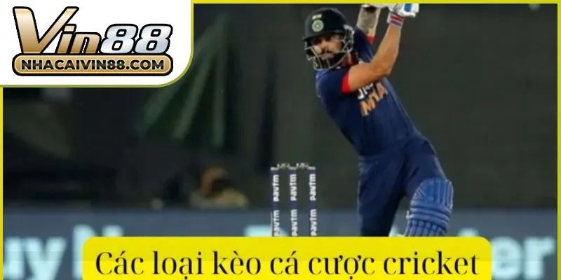 ca-cuoc-cricket-tai-vin88-02