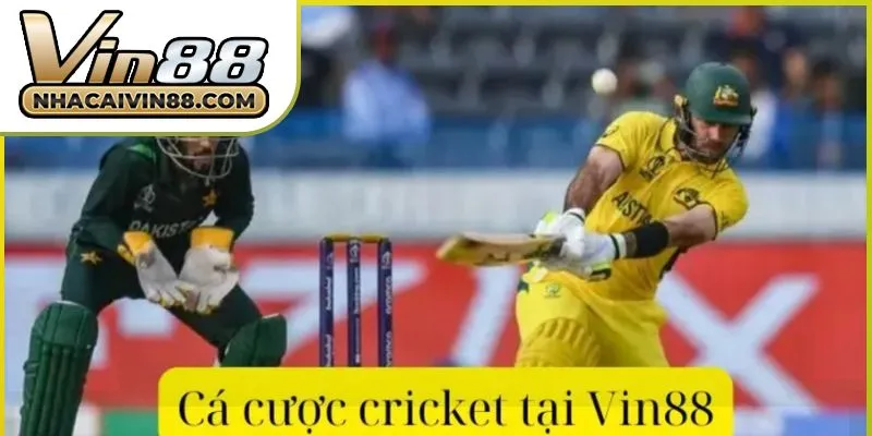 ca-cuoc-cricket-tai-vin88