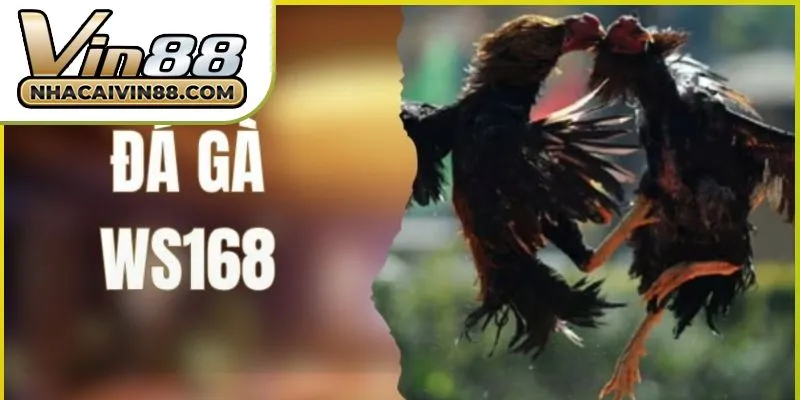 da-ga-ws168